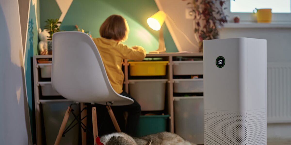 do air purifiers remove odors